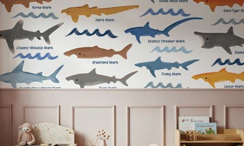 Sharks of the World Chart