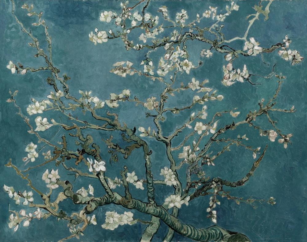 Almond Blossom, Teal Breeze