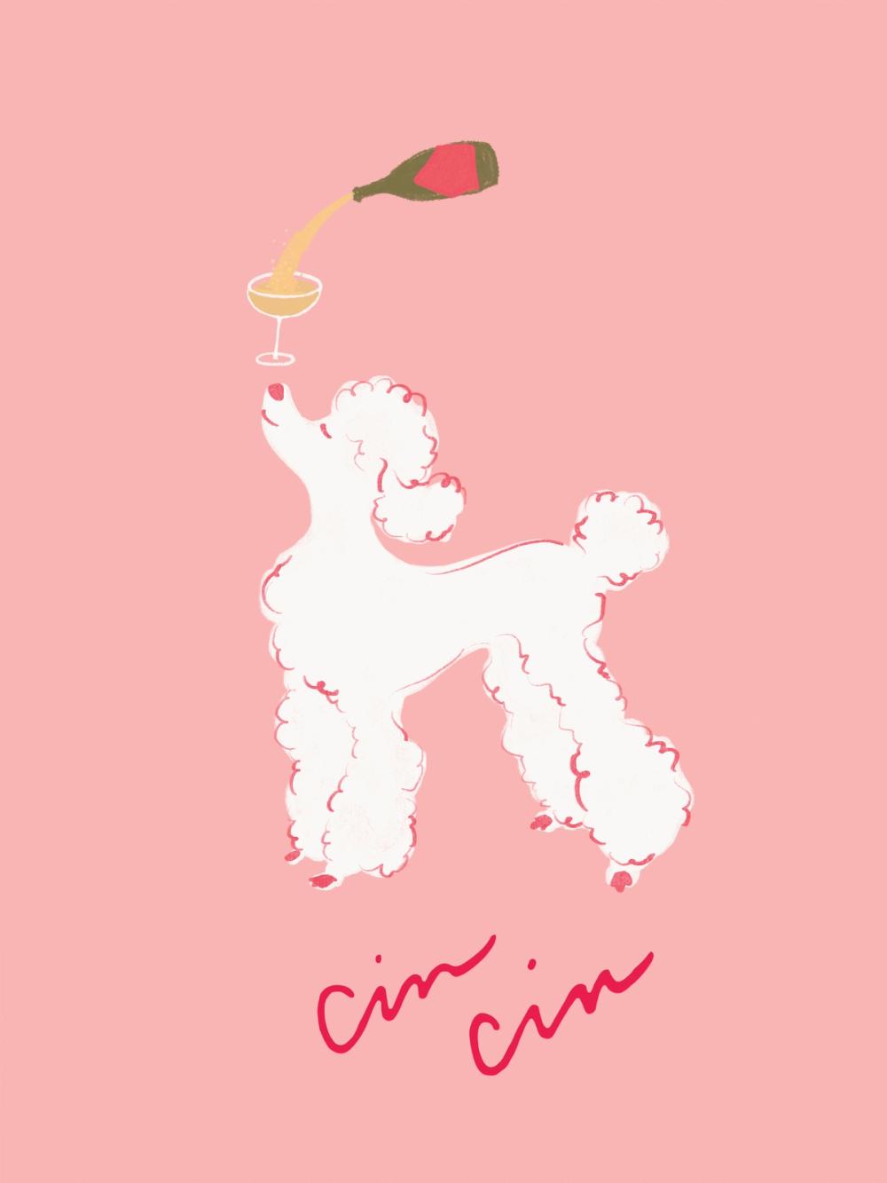 Cin Cin Poodle