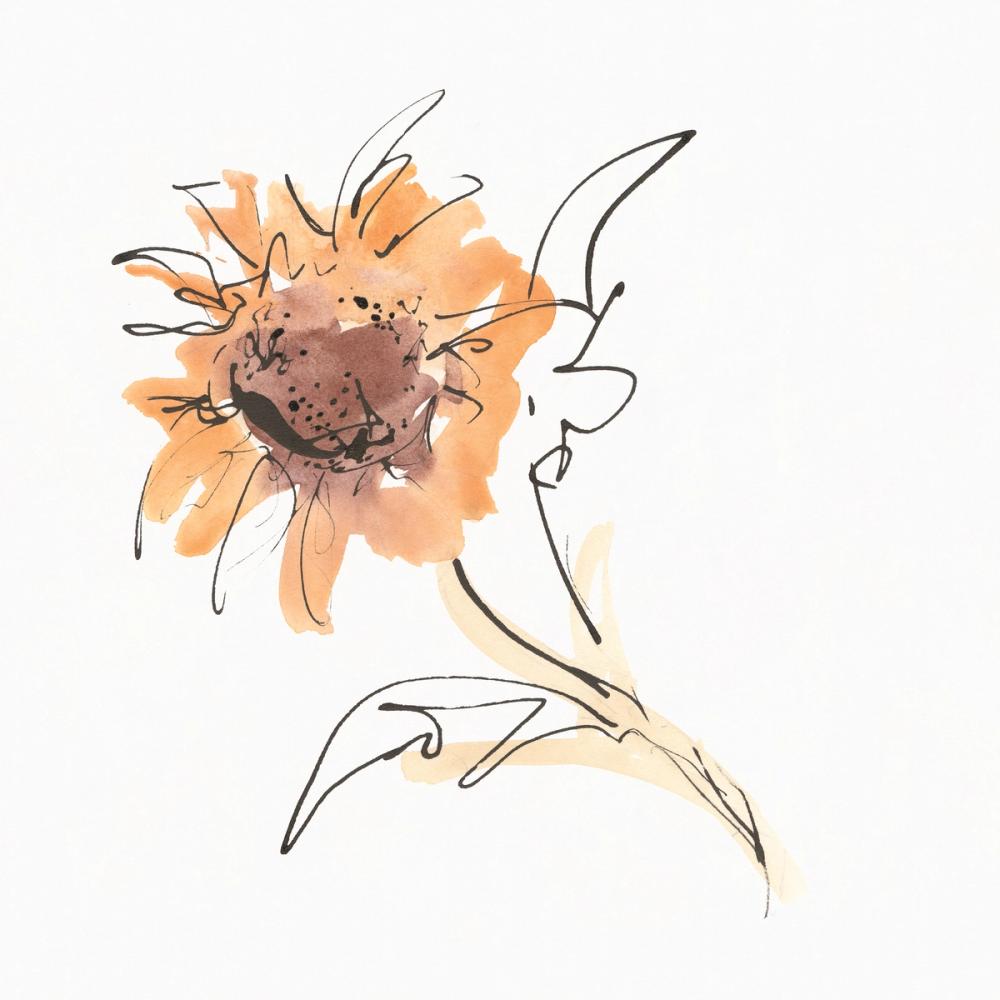 Apricot Sunflower I