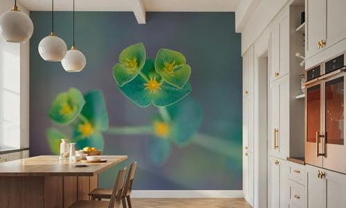 Euphorbia