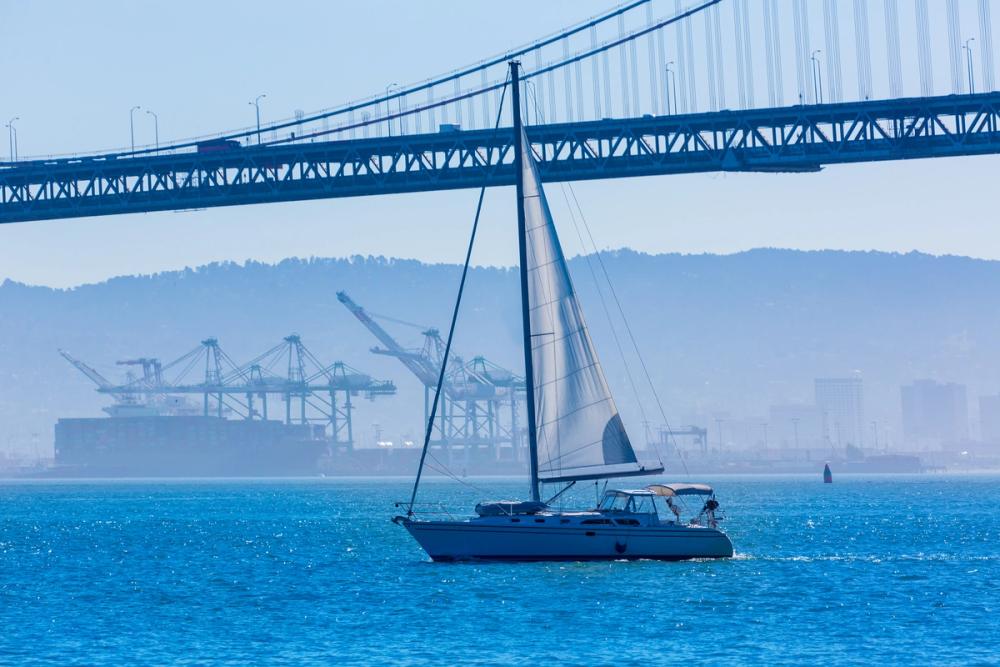 Sailing the Bay