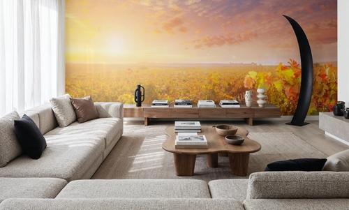 Spanish Vineyard