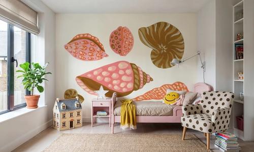 My Tropical Shell Collection I