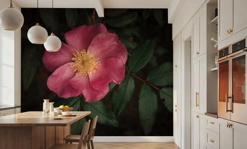 Wild Rose I