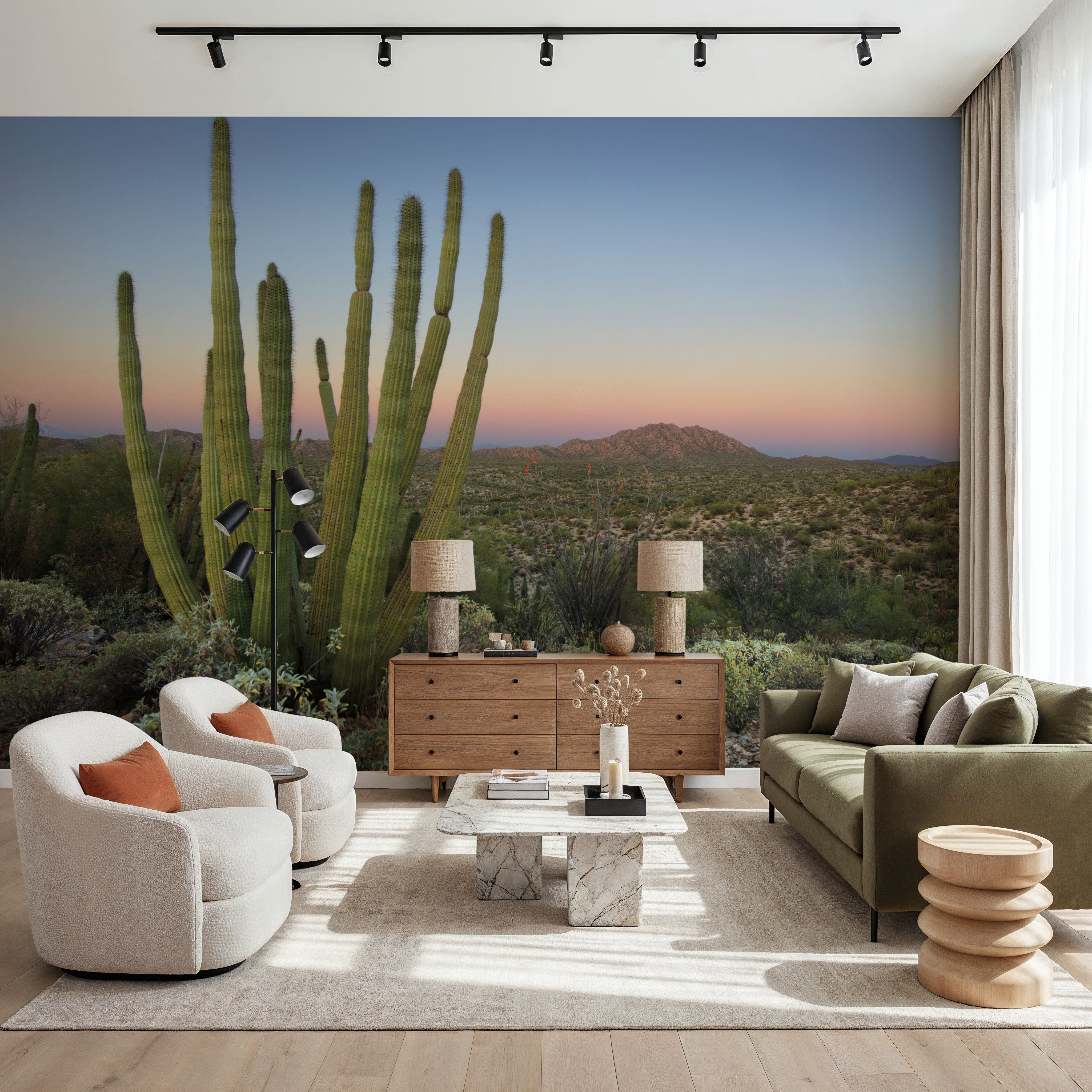 Organ Pipe Cactus National Monument