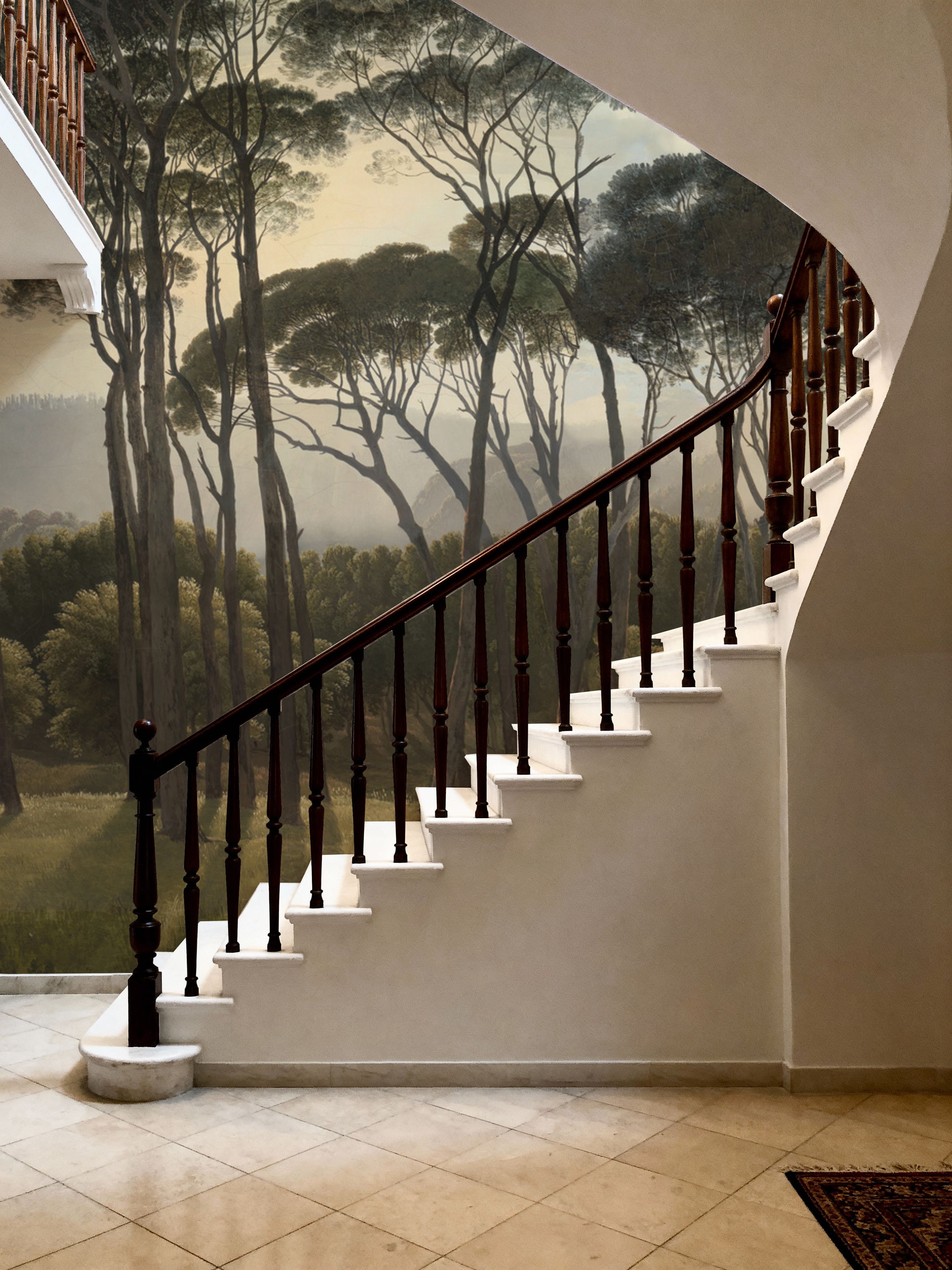 Mediterranean Pine Landscape, Vintage