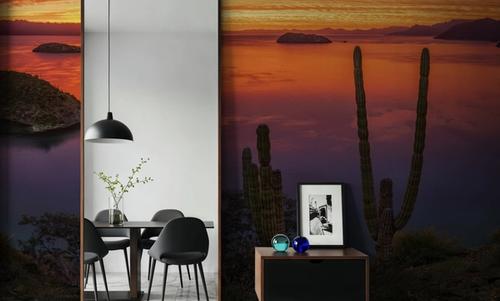 Cardon Cactus Sunset
