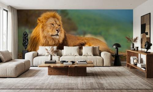 Lion Rest