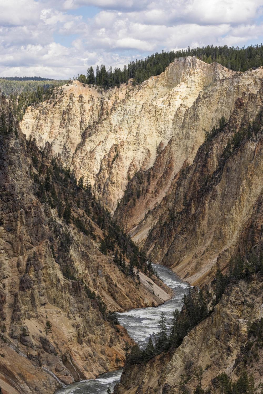 Yellowstone Summer
