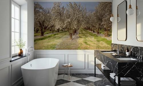 Blooming Almond Grove