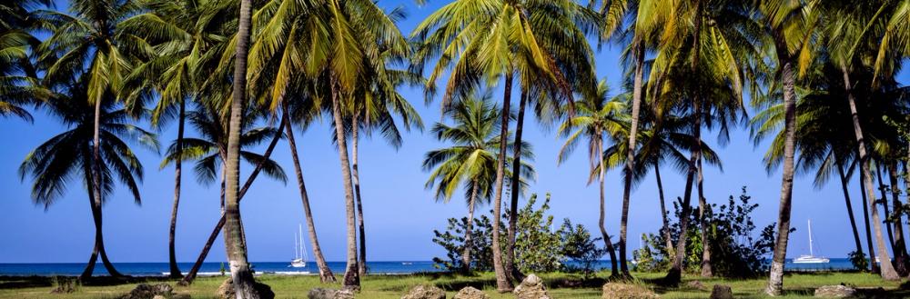 Sailing Through Paradise