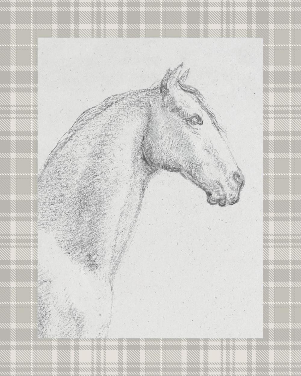 The Horse Aga Black and White