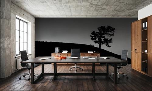 Limber Pine BW