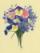 Periwinkle Nosegay II
