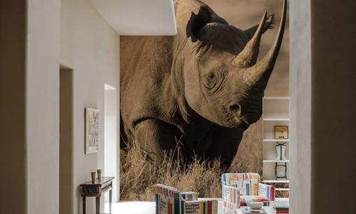 Kenyan Rhino