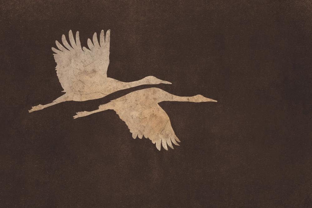 Herons in Flight Mocha