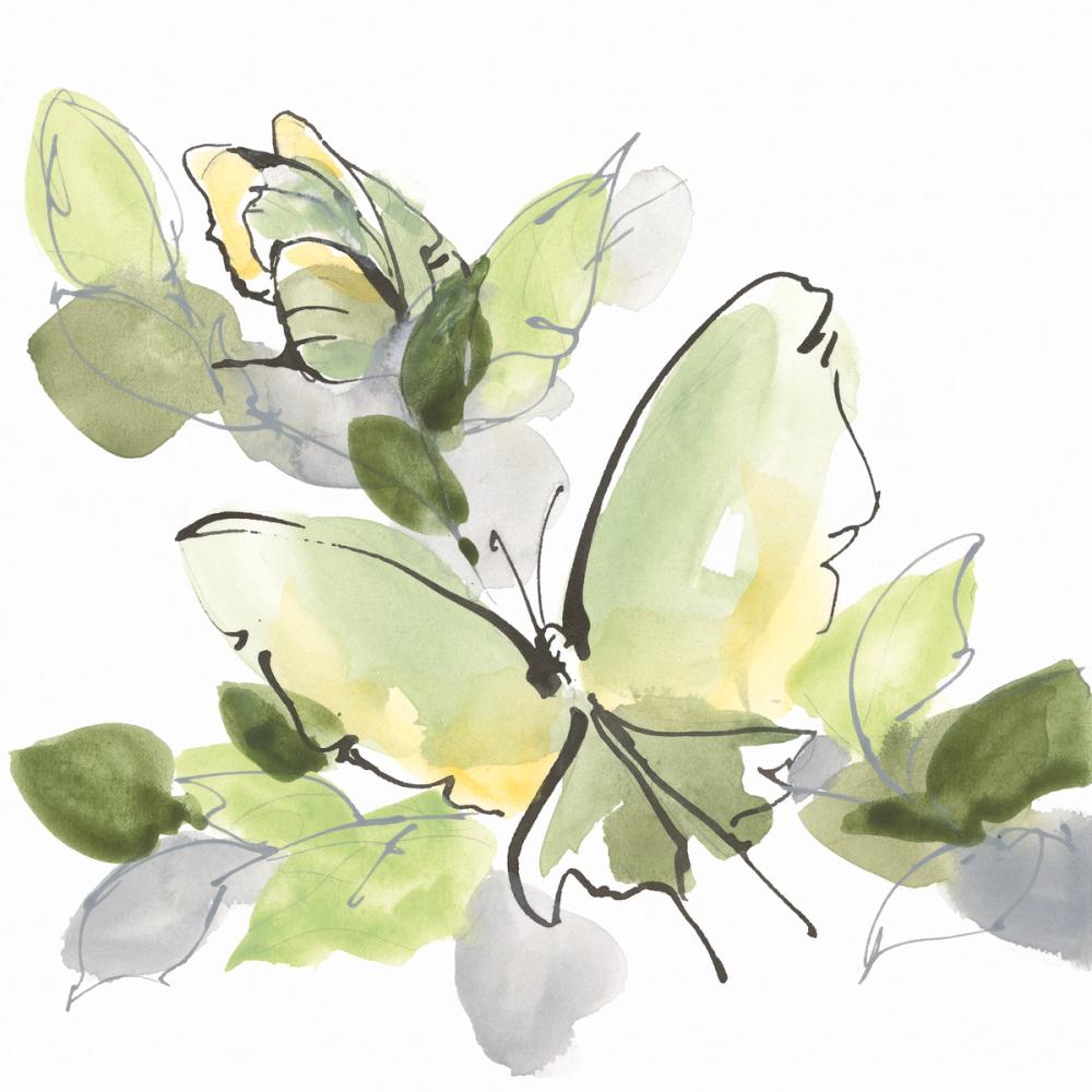 Social Butterflies IV