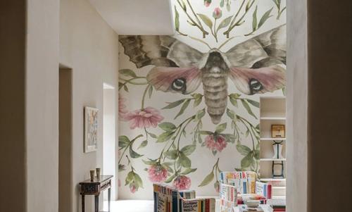 Moth Art II