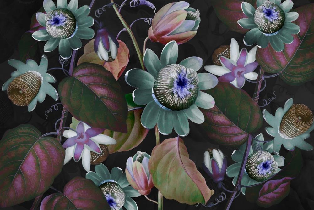 Passifloras Emerging Blue