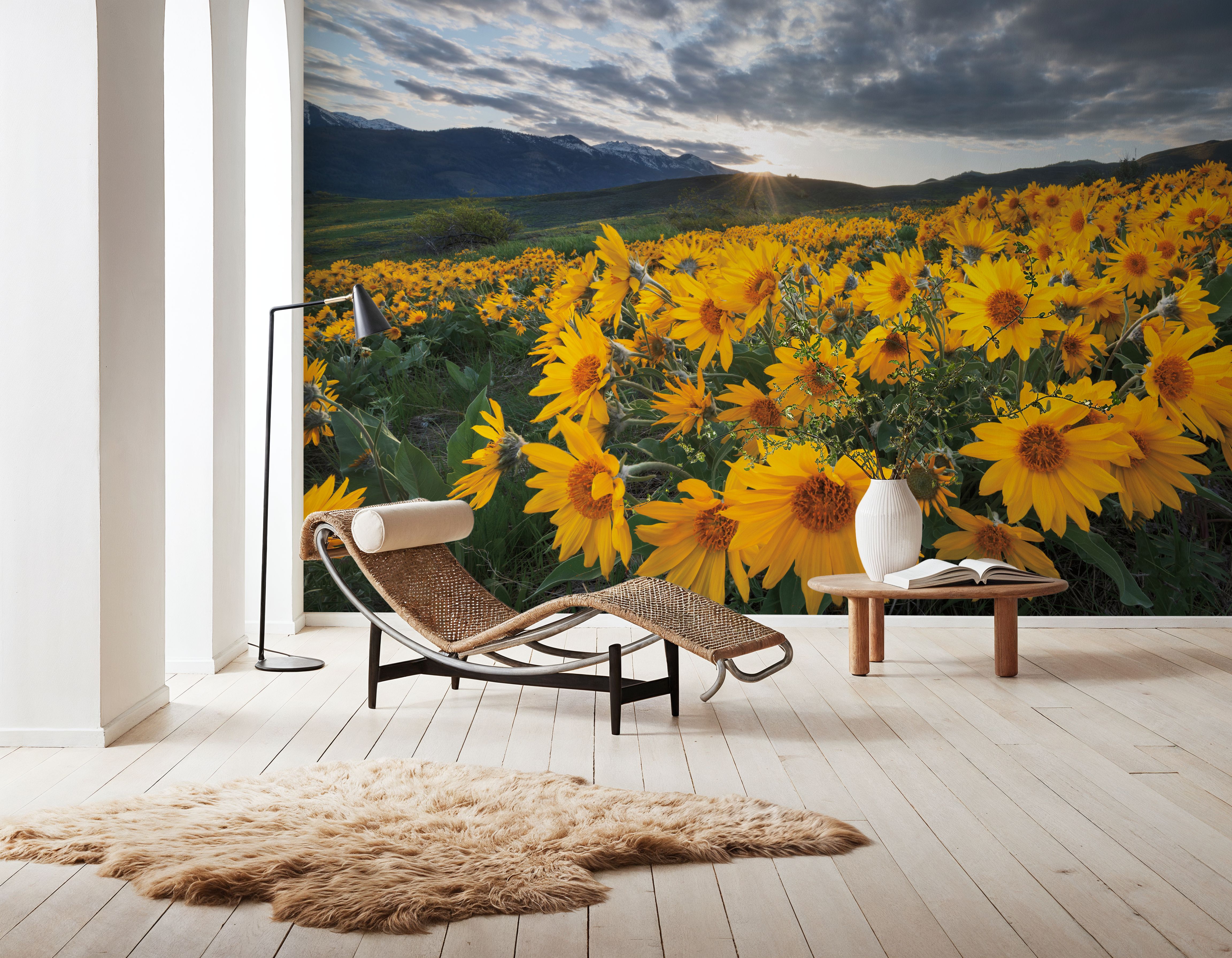 Methow Valley Wildflowers I
