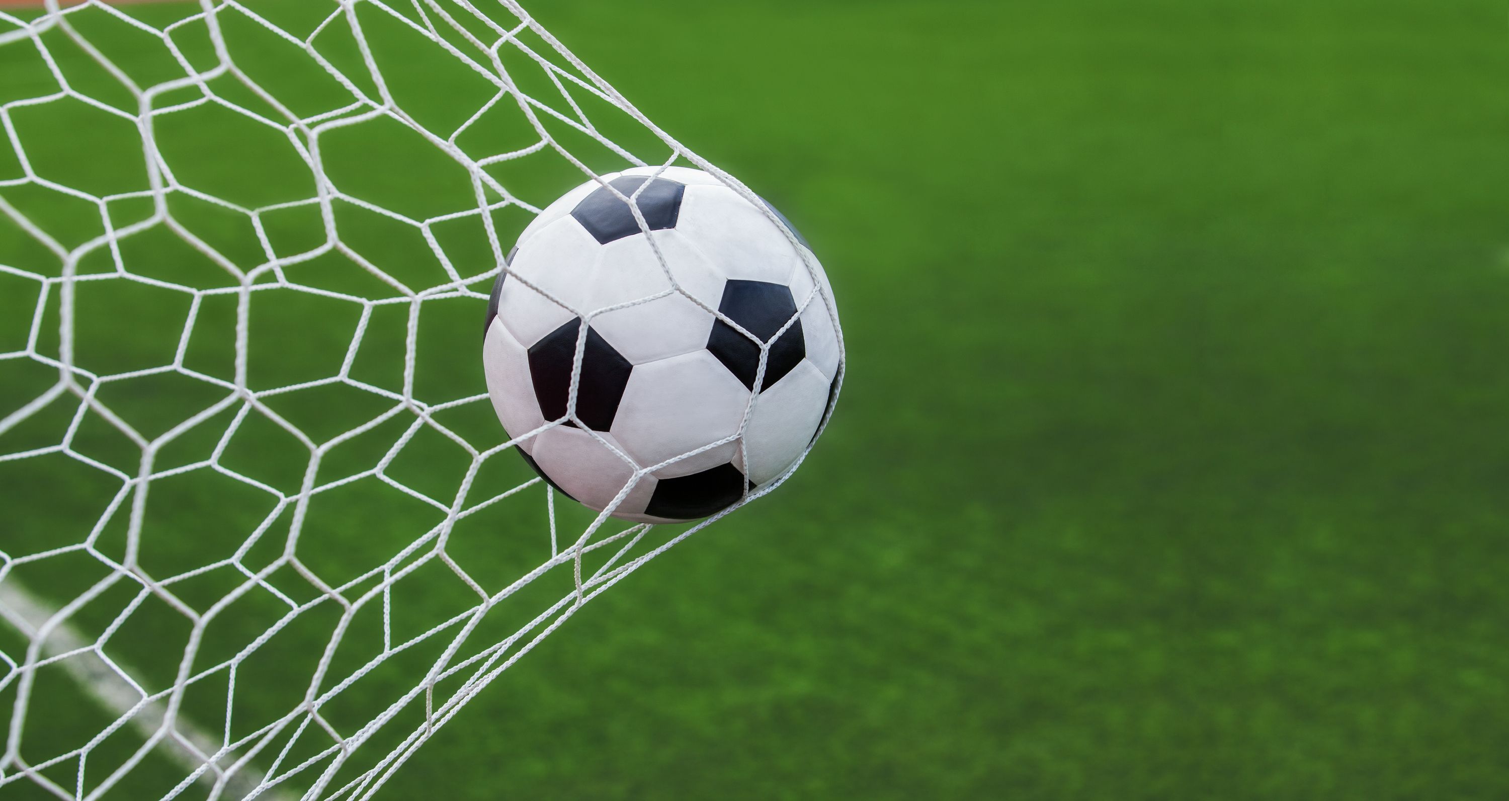 photo of a soccer ball in a net