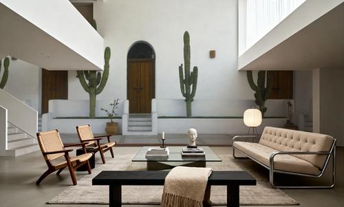 Cactus Sentinels