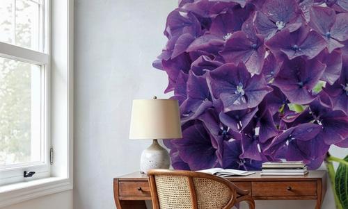 Bright Purple Hydrangea