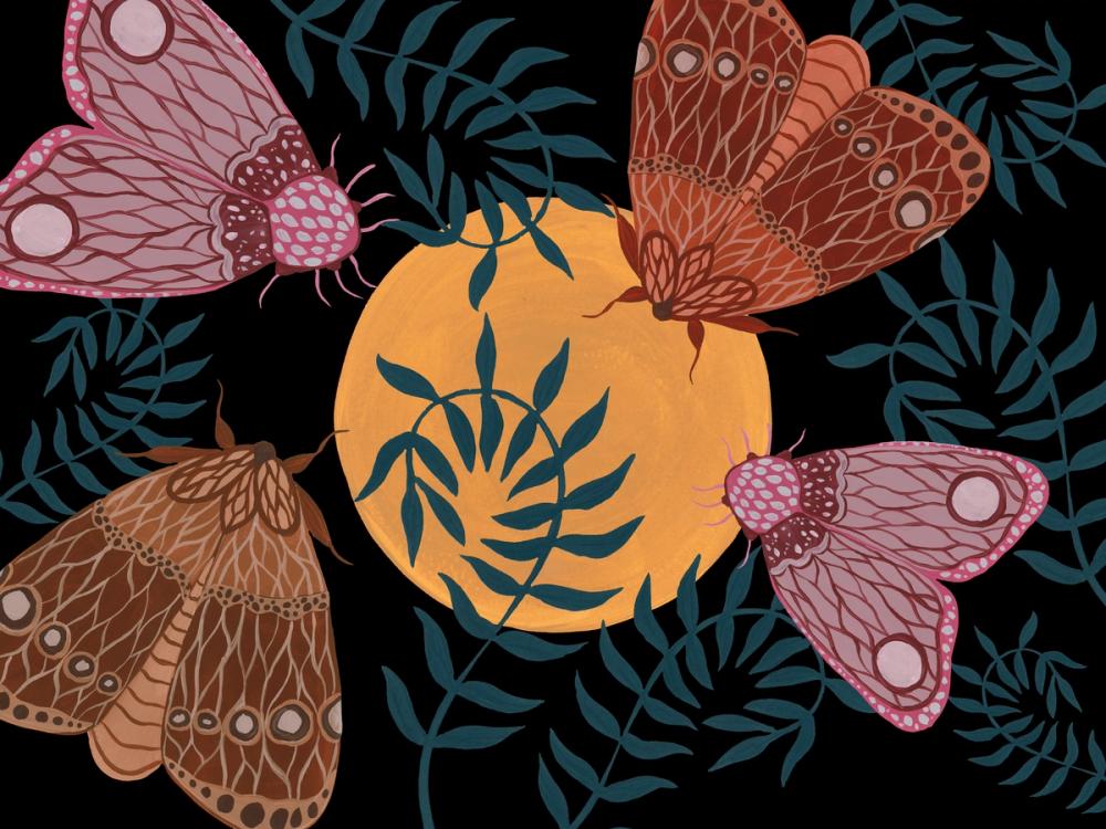 Moon Moth II