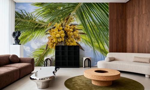 Fresh Coconuts
