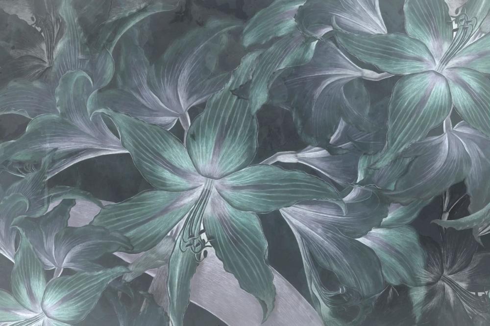  Amarantus dream Ice blue