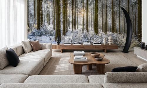 Winter Day