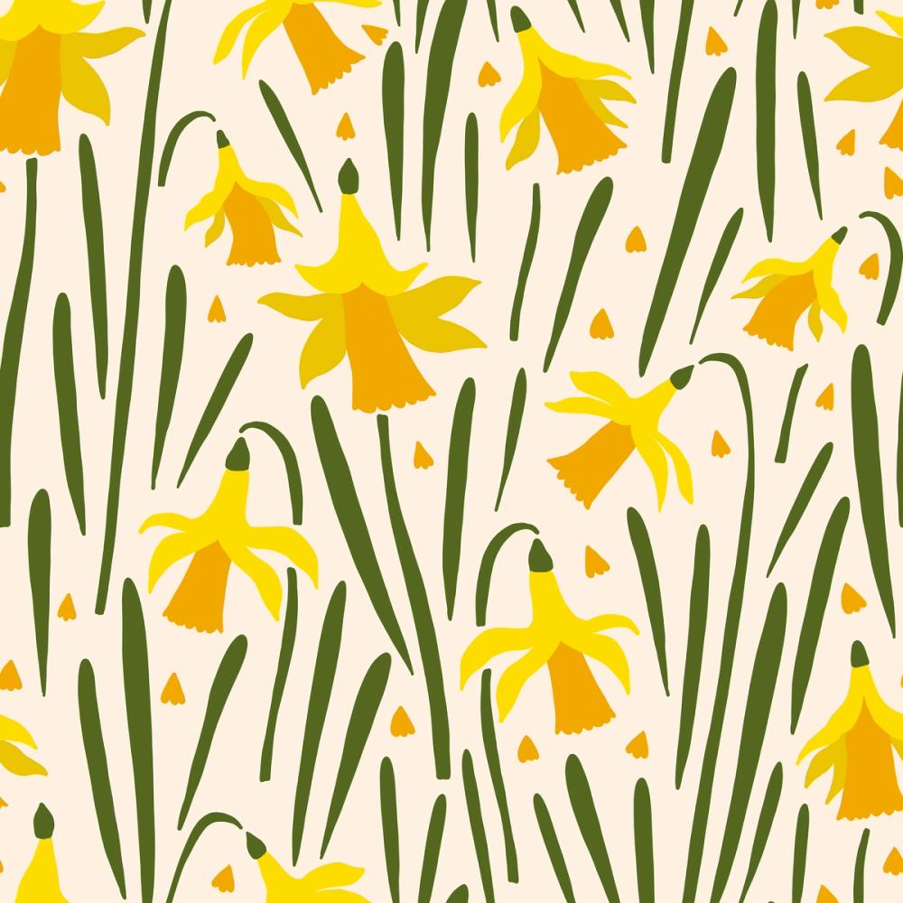Narcissus