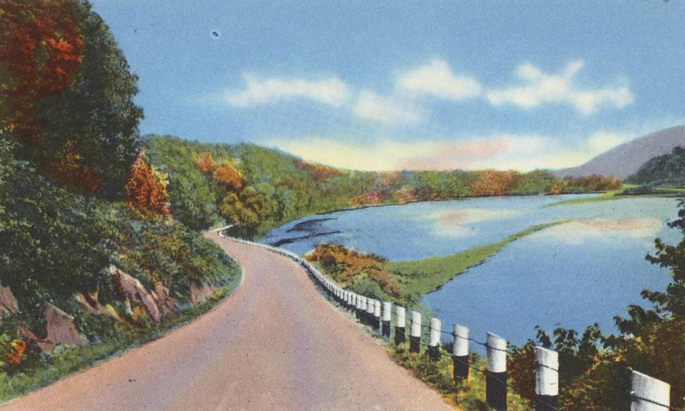 Fall Colors - Screenprint Postcard