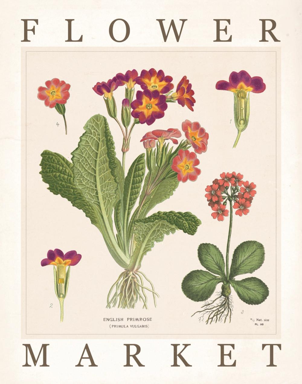 Flower Market Chart II