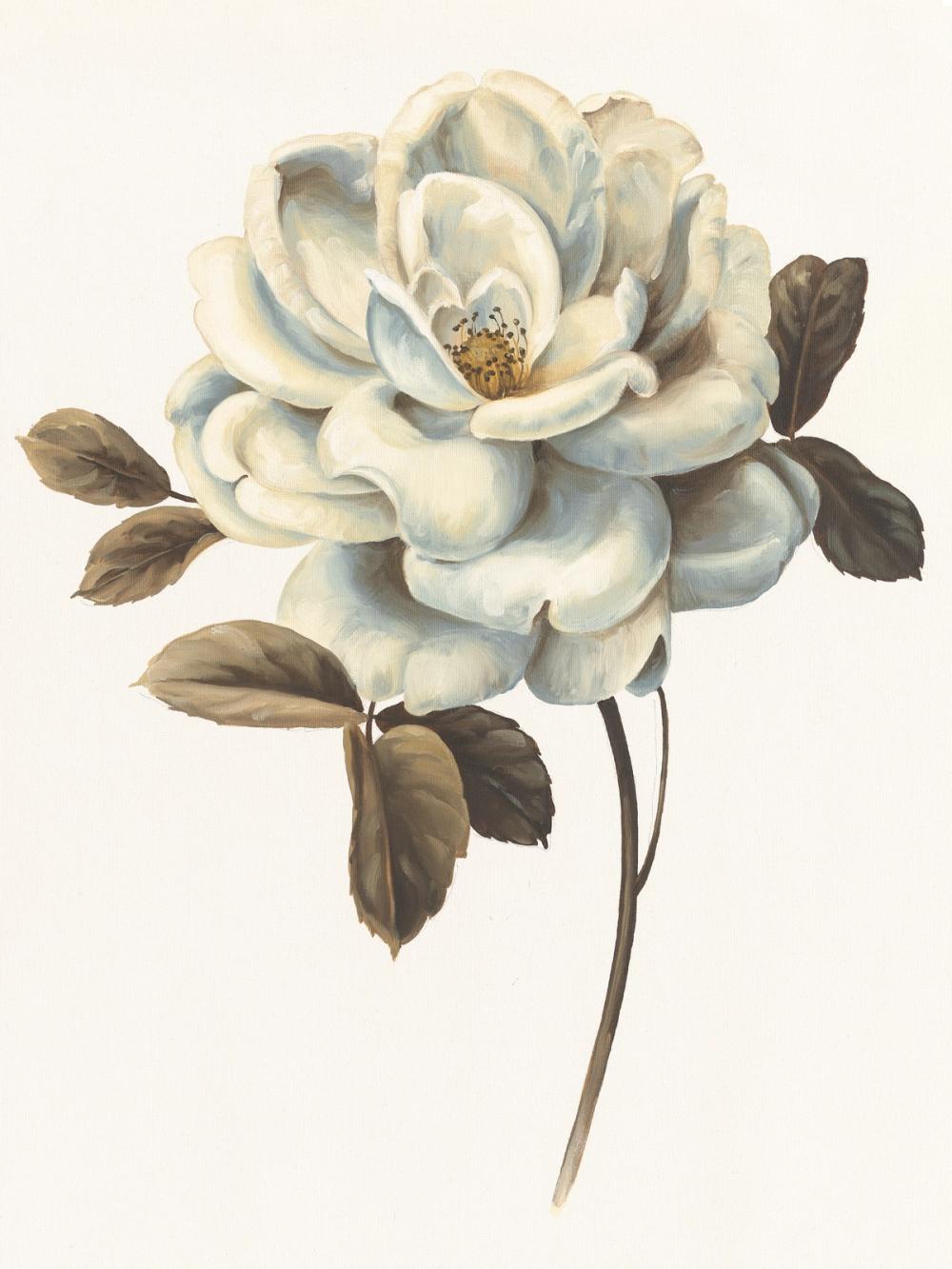 Floral Bliss Rose II