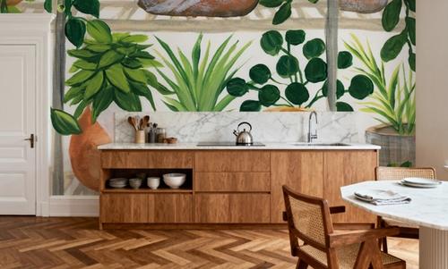 Plants of Shelf