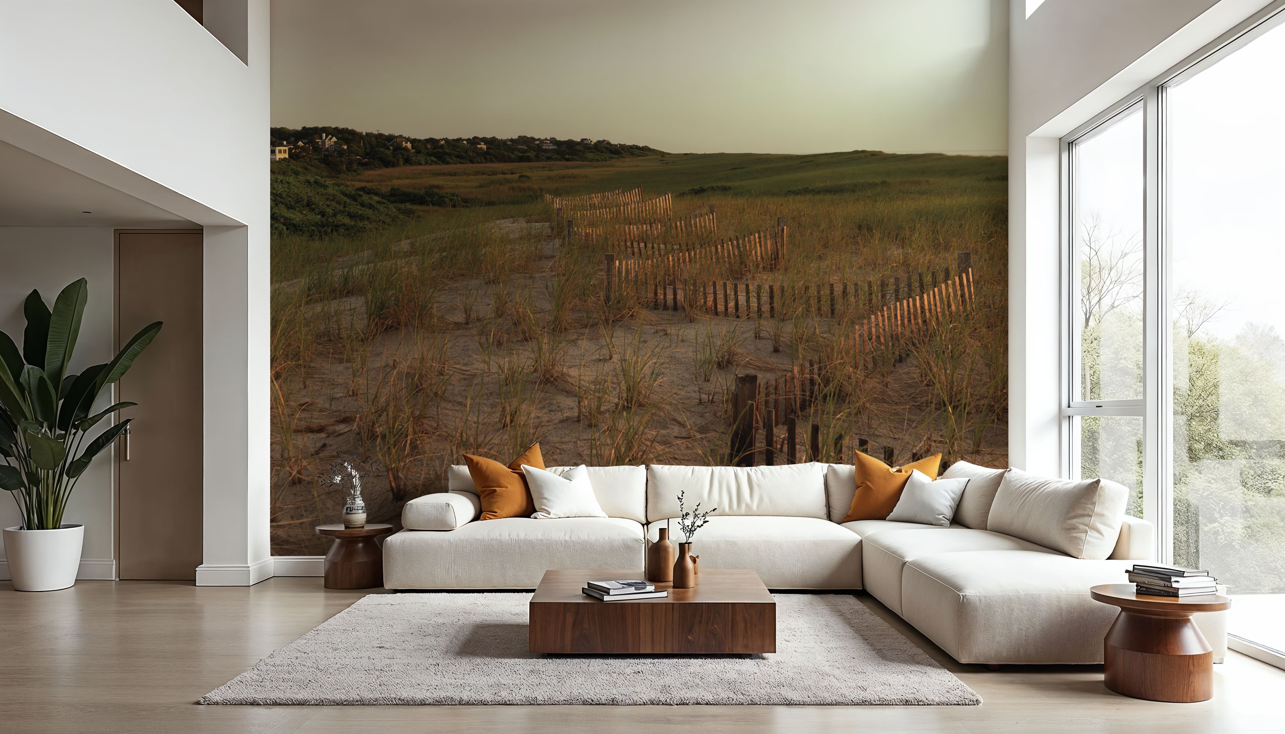 Light over the Dunes