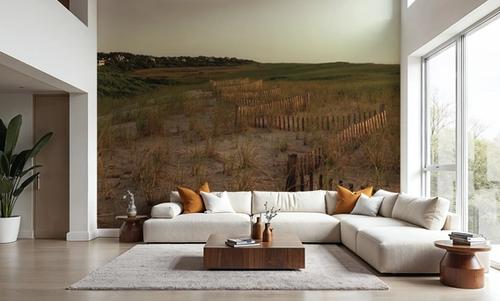 Light over the Dunes