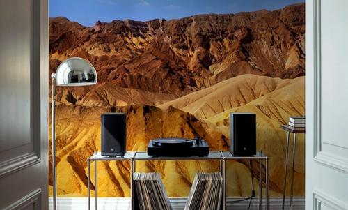 Death Valley Musdstone
