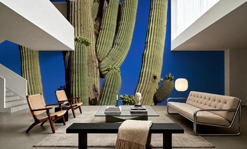 Moonlit Saguaro