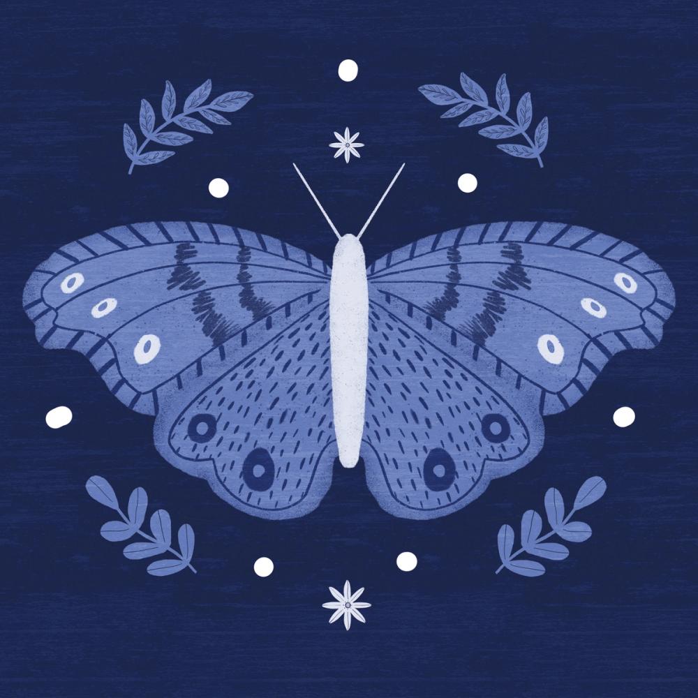 Simply Butterflies I