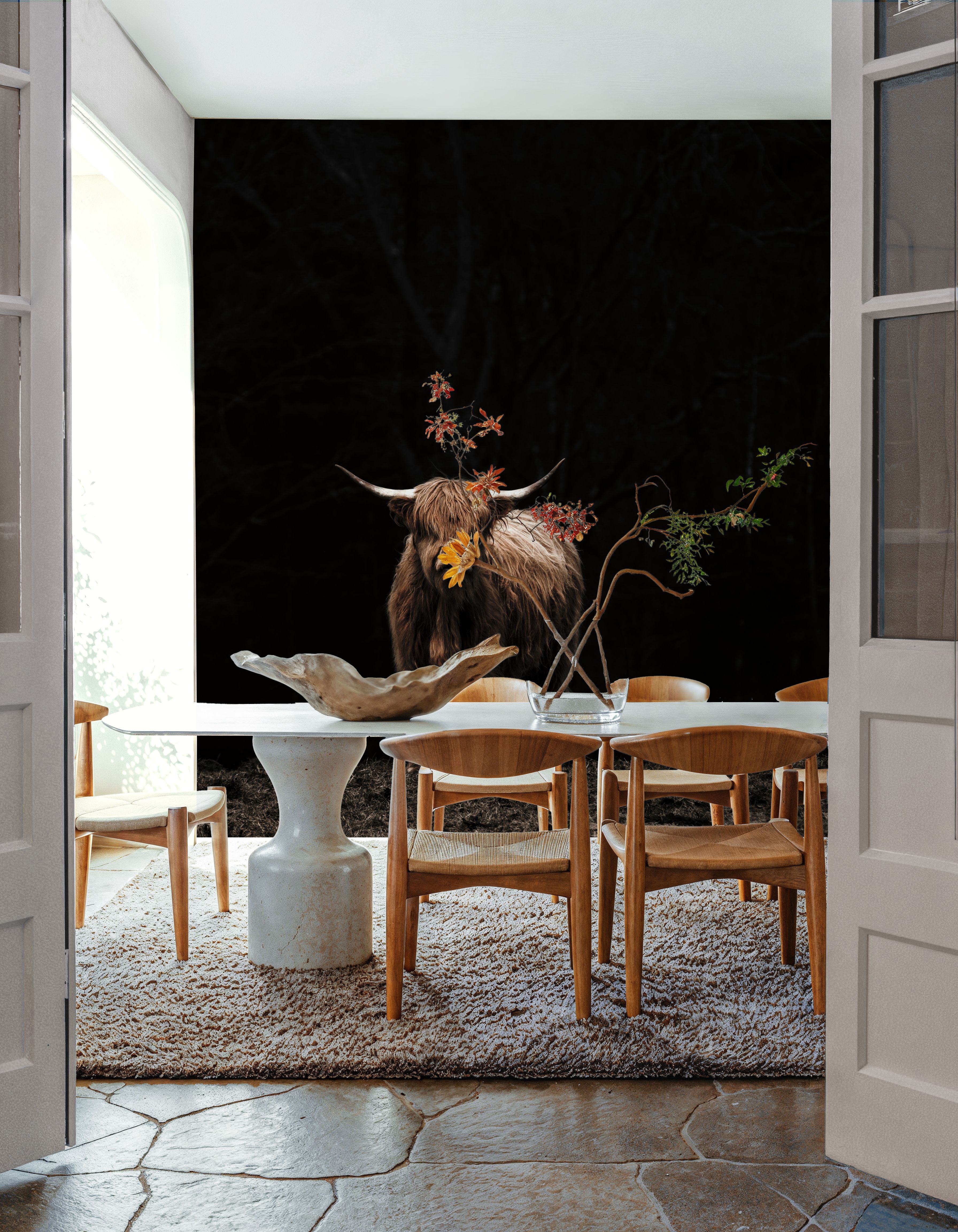 Highland Cow King of the Hill