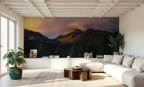 Vorarlberg Light