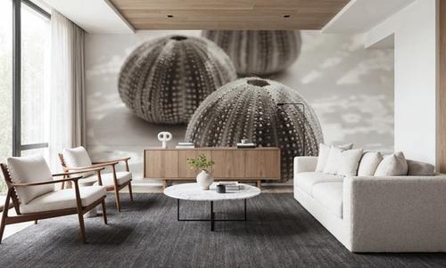 Urchins in Lace II