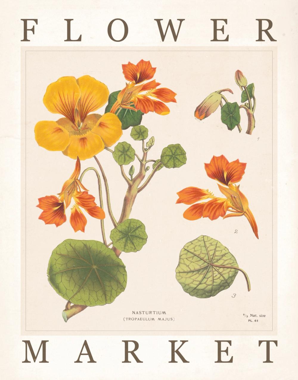 Flower Market Chart III