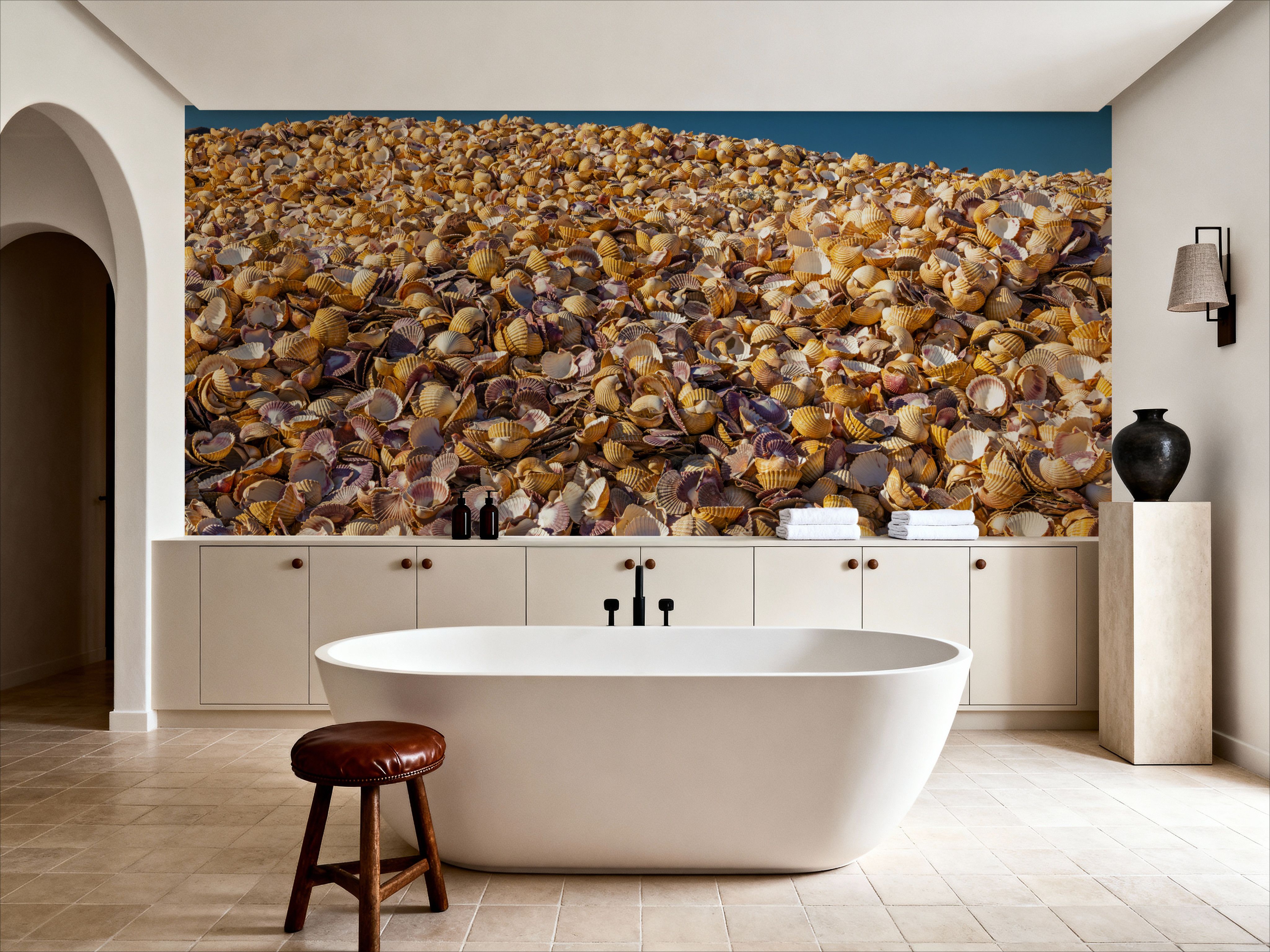 Scallop Shells