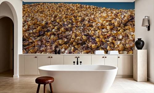Scallop Shells