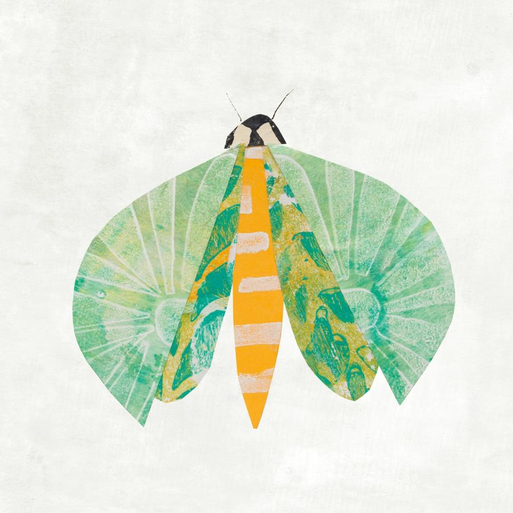 Collage Insects II