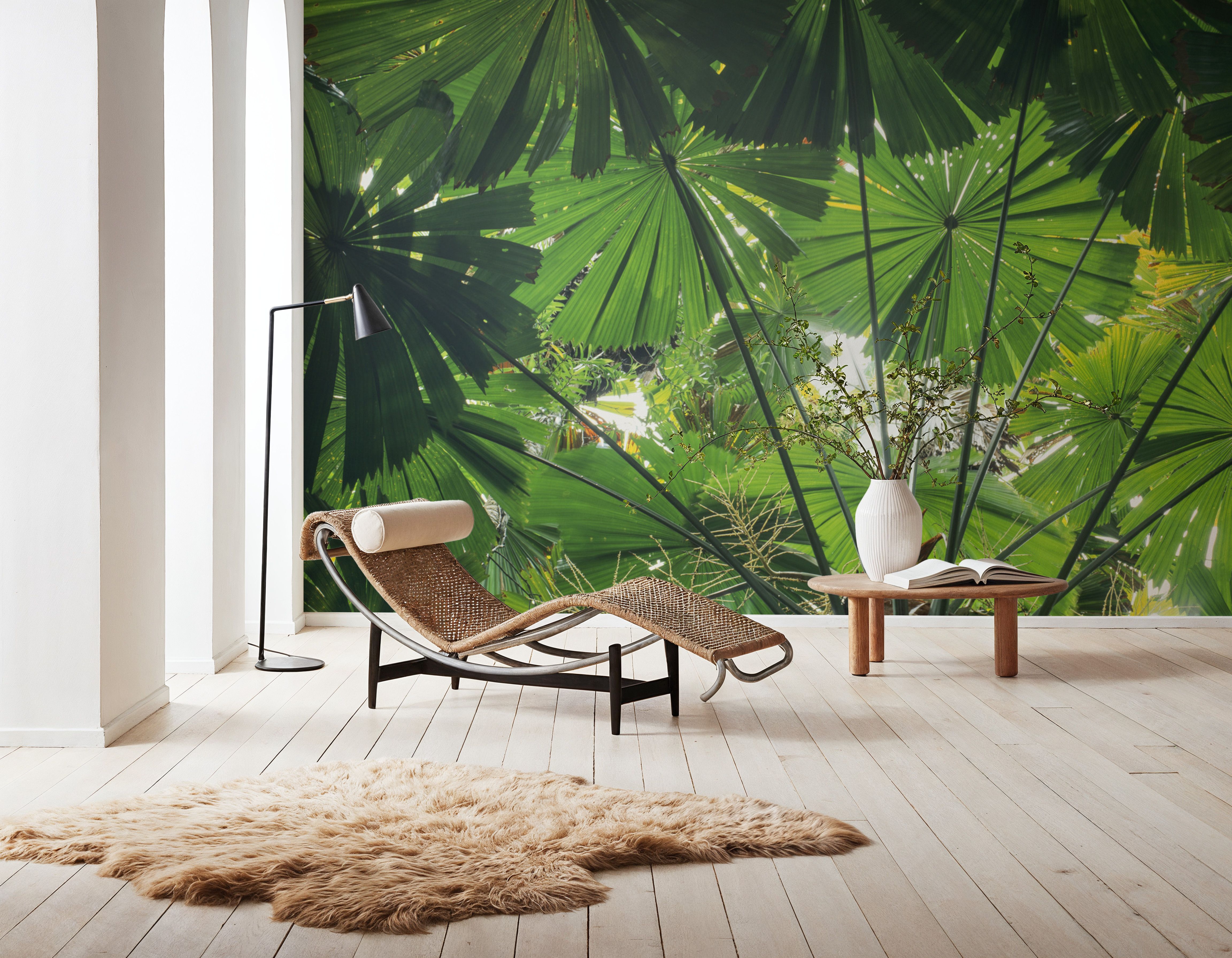 Tropical Fan Fronds